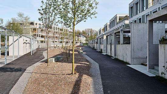 Kundenporträt Antoniol+Huber+Partner_Wohninsel_Blumenau